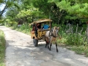 gilit (28)